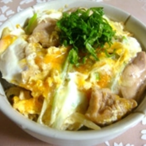 ネギたっぷり！柔らか汁だく親子丼♪